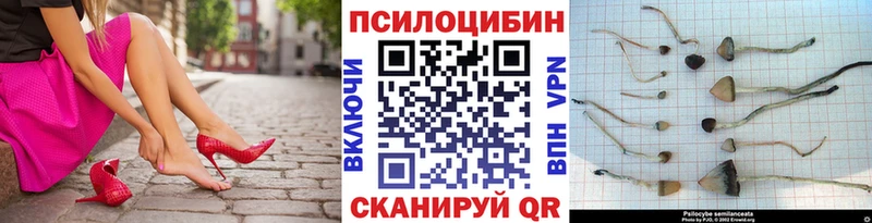 Галлюциногенные грибы ЛСД  Щёлкино 